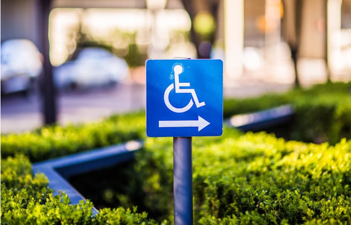 Leaves and Disability