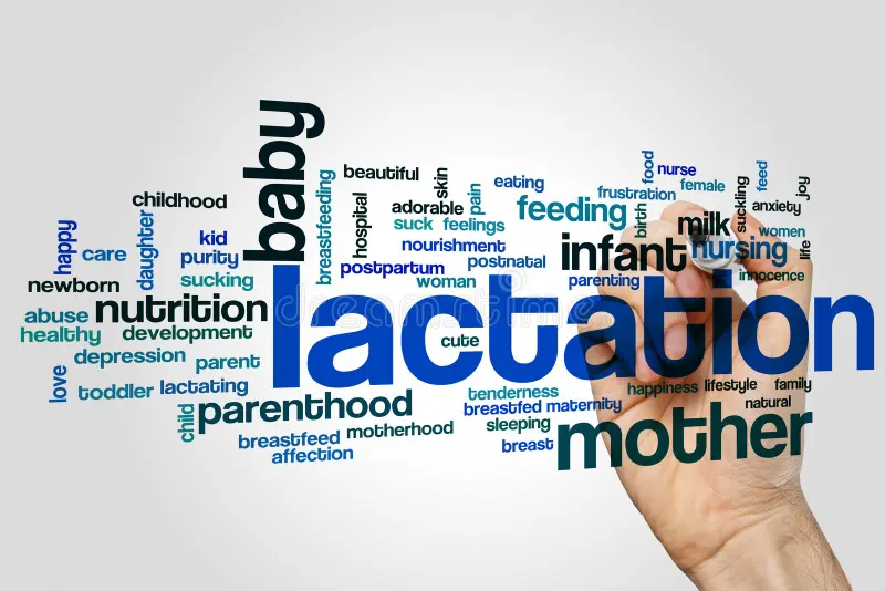 Lactation